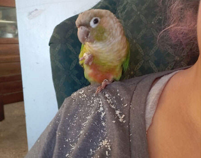 This Asshole And Her Bullshit Crumbs Everywhere