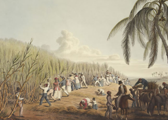 50 Historical Facts That Have Completely Ruined The Way These People See The World