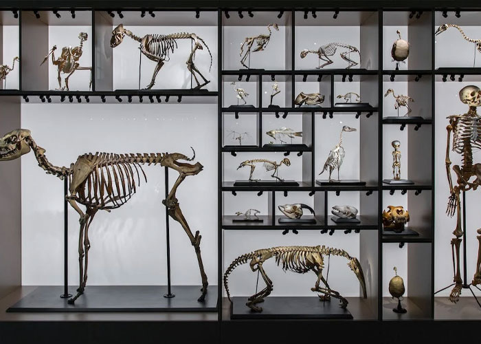 50 Historical Facts That Have Completely Ruined The Way These People See The World