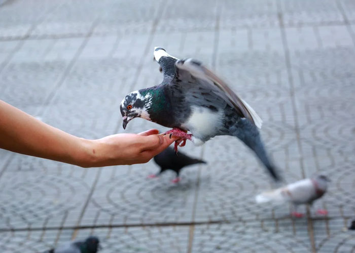 50 Historical Facts That Have Completely Ruined The Way These People See The World