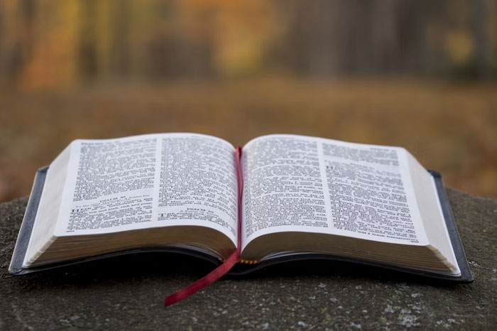 50 Historical Facts That Have Completely Ruined The Way These People See The World