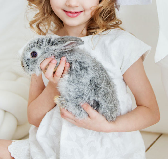 HOA Forces This Family To Get Rid Of Their Bunnies, So They Start A "Bunnypocalypse" Before Moving HOA Forces This Family To Get Rid Of Their Bunnies, So They Start A "Bunnypocalypse" Before Moving