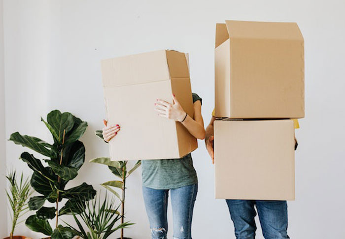 HOA Forces This Family To Get Rid Of Their Bunnies, So They Start A "Bunnypocalypse" Before Moving HOA Forces This Family To Get Rid Of Their Bunnies, So They Start A "Bunnypocalypse" Before Moving