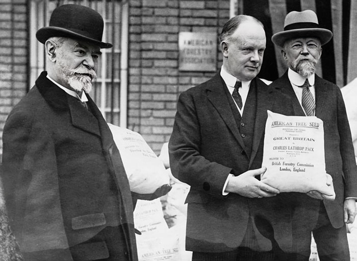 French Ambassador Jusserand And J.J. Broderick Of The British Embassy Holding Bags Of Douglas Fir Seeds At The Headquarters Of The American Forestry Association
