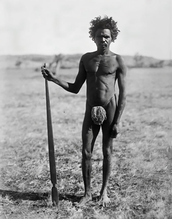 Man Holding North-Western Type Of Spearthrower And Wearing Pubic Fur Tassel. Wardaman People, Northern Territory