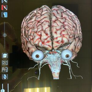 aprilasturias avatar