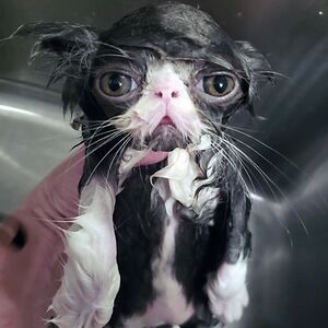 lifeisgood4226 avatar