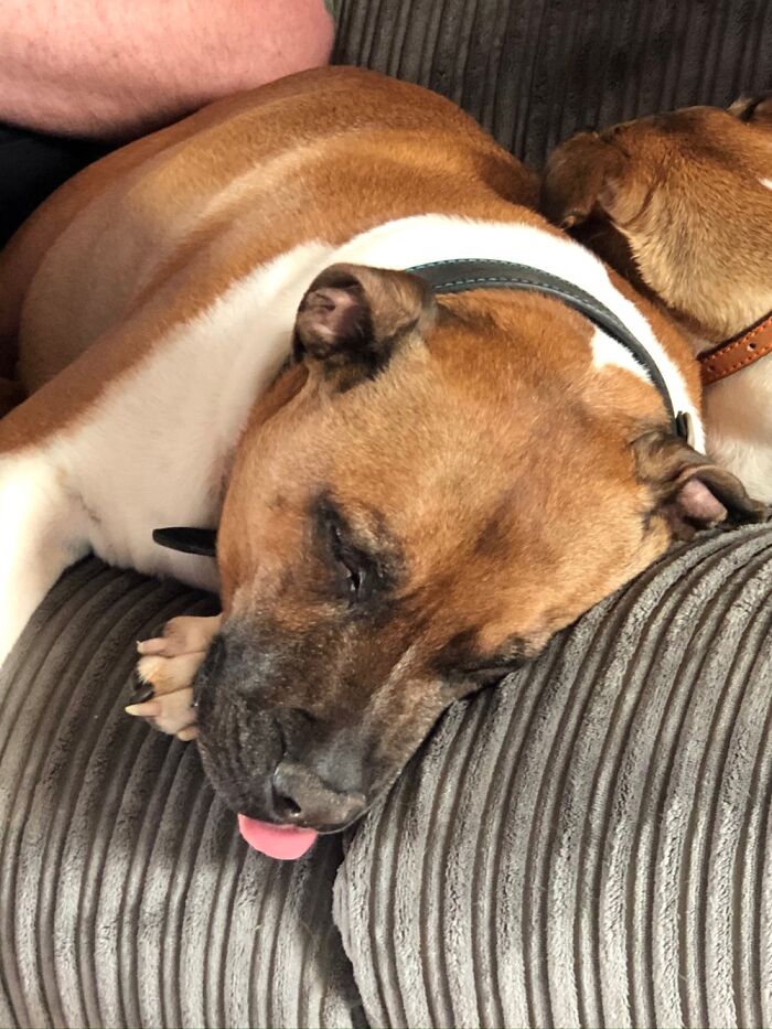 Drool Had Just Dropped Off…