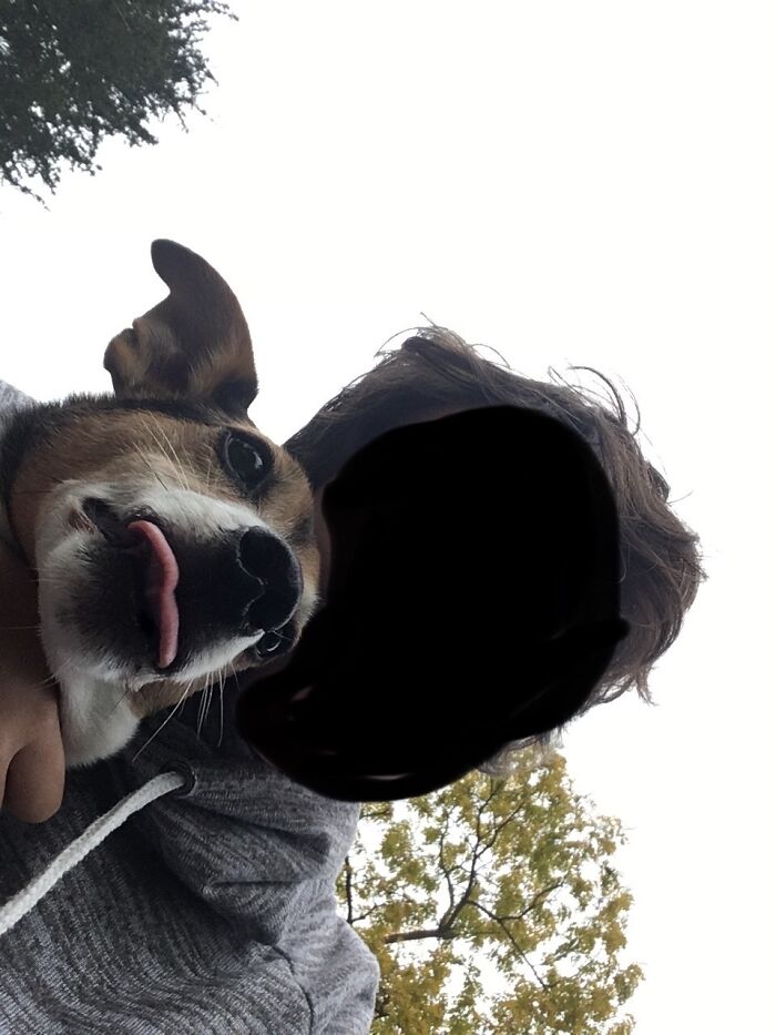 My Boy, Max. Maxie. Maxi-Boo. He’s 12 But Still Acts Like A Puppy! I Love Him :)