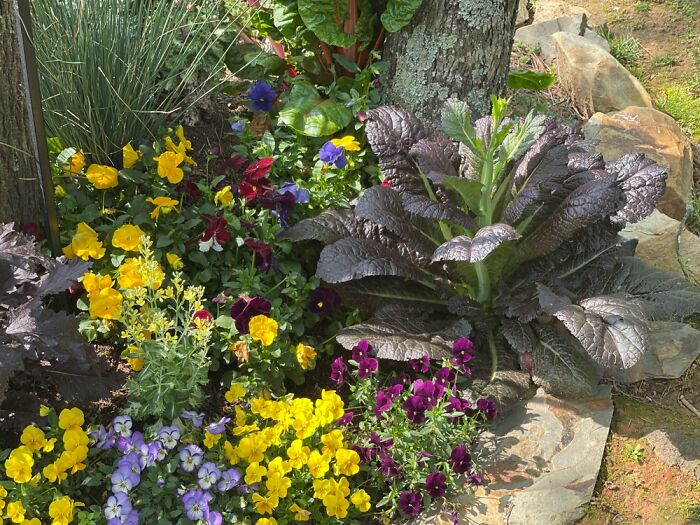 A Burst Of Color Makes Me Happy On Those Rainy April Days