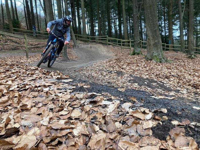 Love My Mountain Biking. Beat Tonic For The Mind