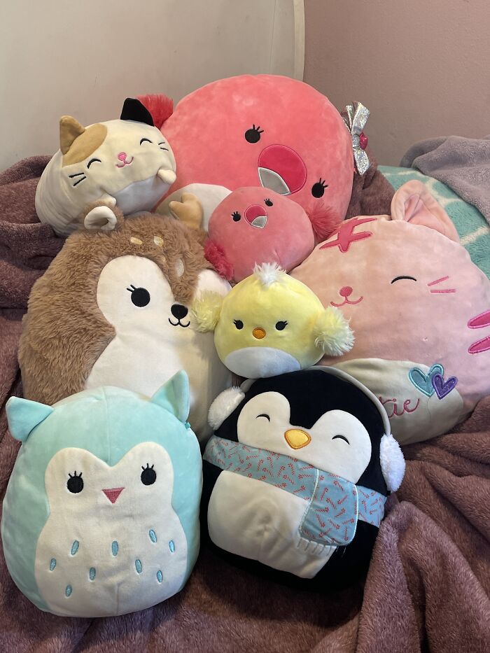 It’s Not A Lot, But Here Are My Babies (I Have A Small Fox One Somewhere)