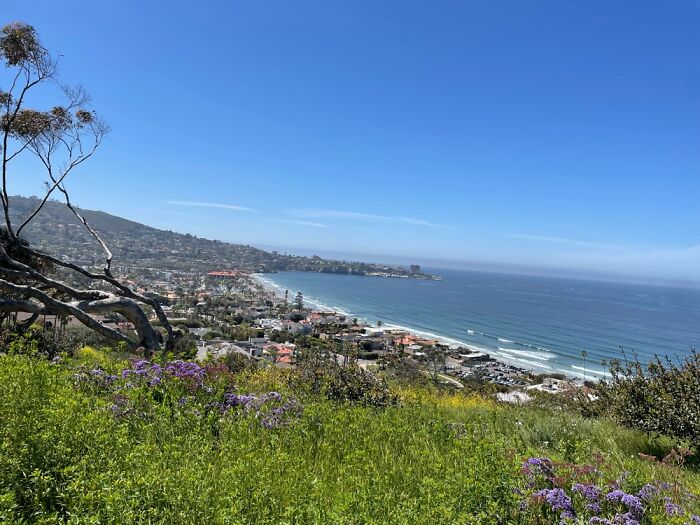 Coast Of Cali 🌊