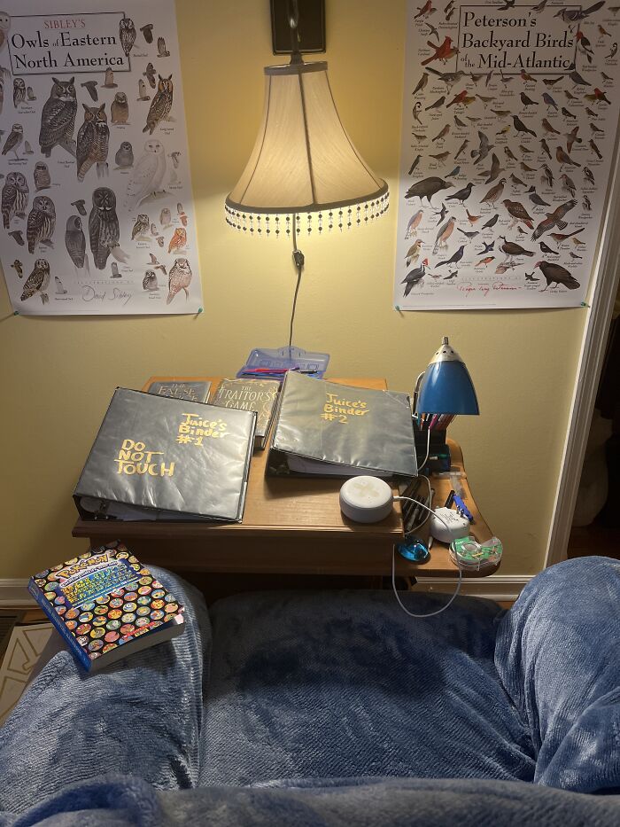 I’m A 13 Year Old Aspiring Author! This Is My Writing Desk