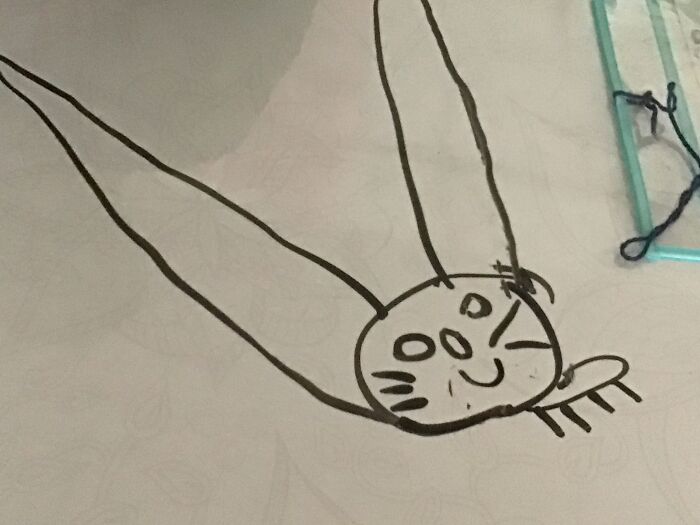 Drawing Of My Cat Because Mine Is Hiding Somewhere