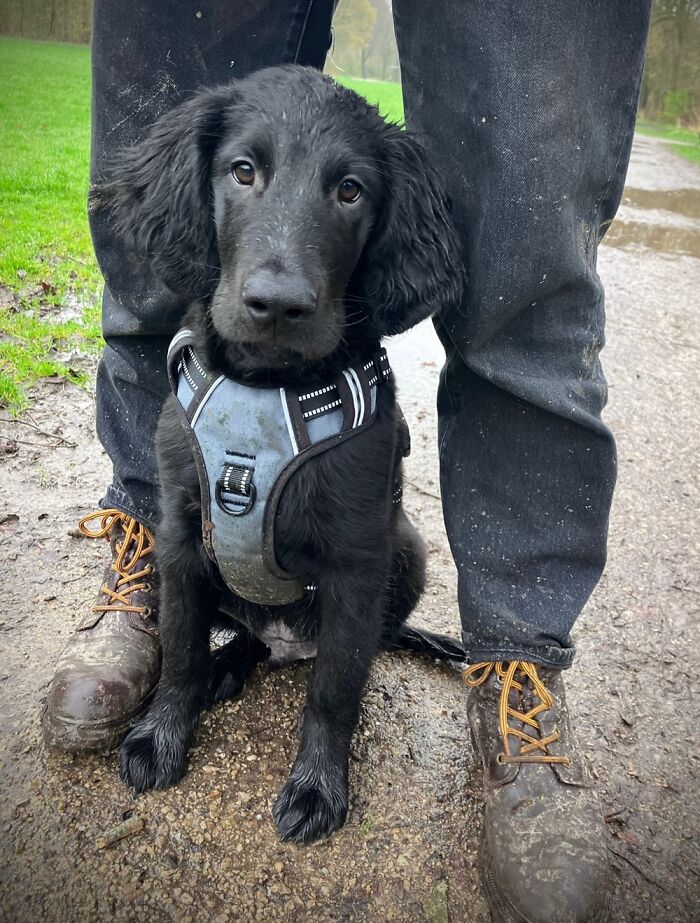 Enjoying Time In Nature With My Dearest Buddy