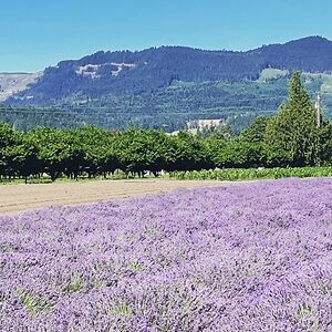 nataliealvarez avatar