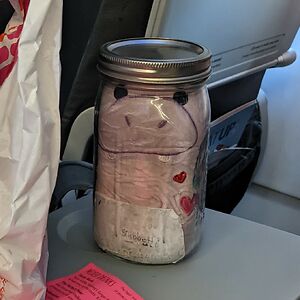 bridgetprocter avatar