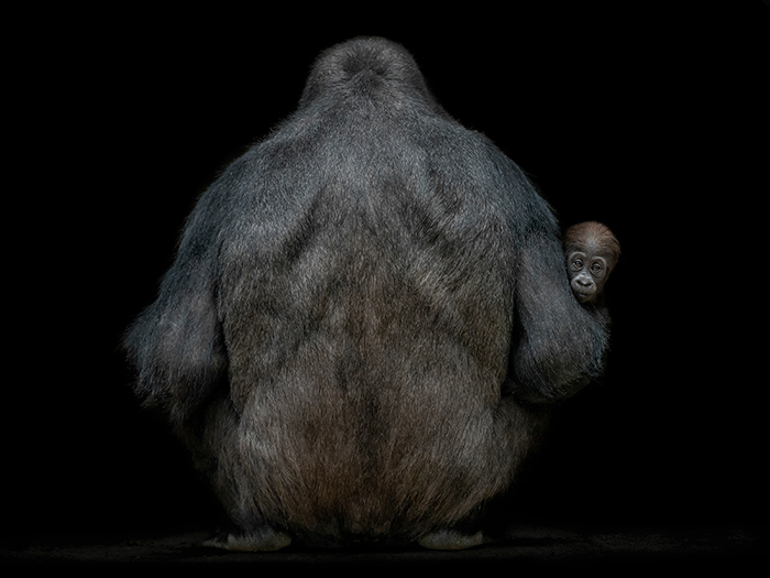 Here Are 40 Of The Most Striking Photographs, As Selected By All About Photo Magazine Awards 2023: “The Mind’s Eye”