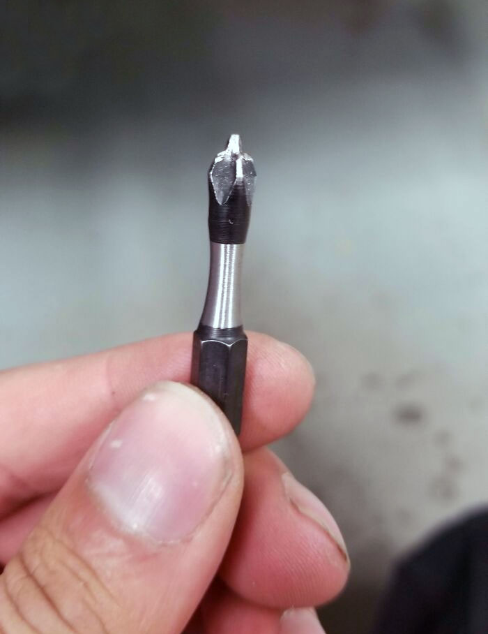 Lent My Phillip's Head Bit To A Coworker