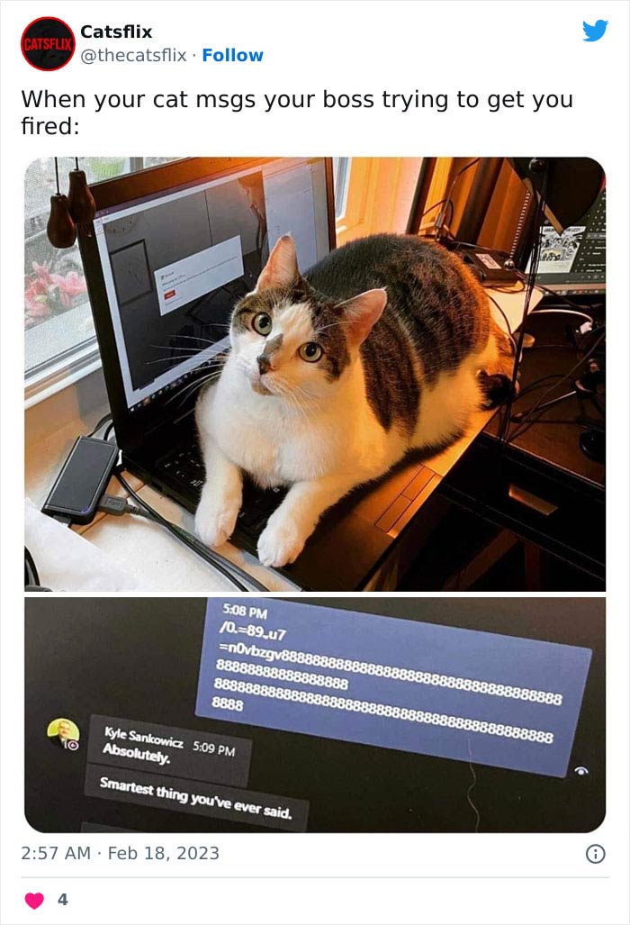 Wholesome-Very-Blessed-Images