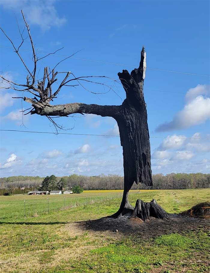 Accidental Surrealism