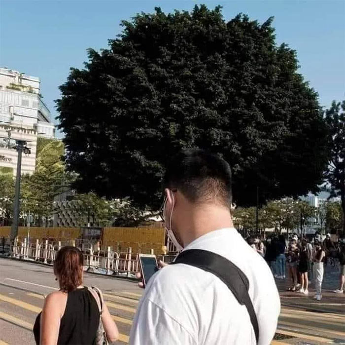 Accidental Surrealism