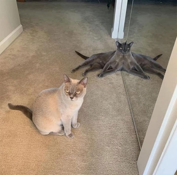 Oh God It's Right Behind Me, Isn't It?