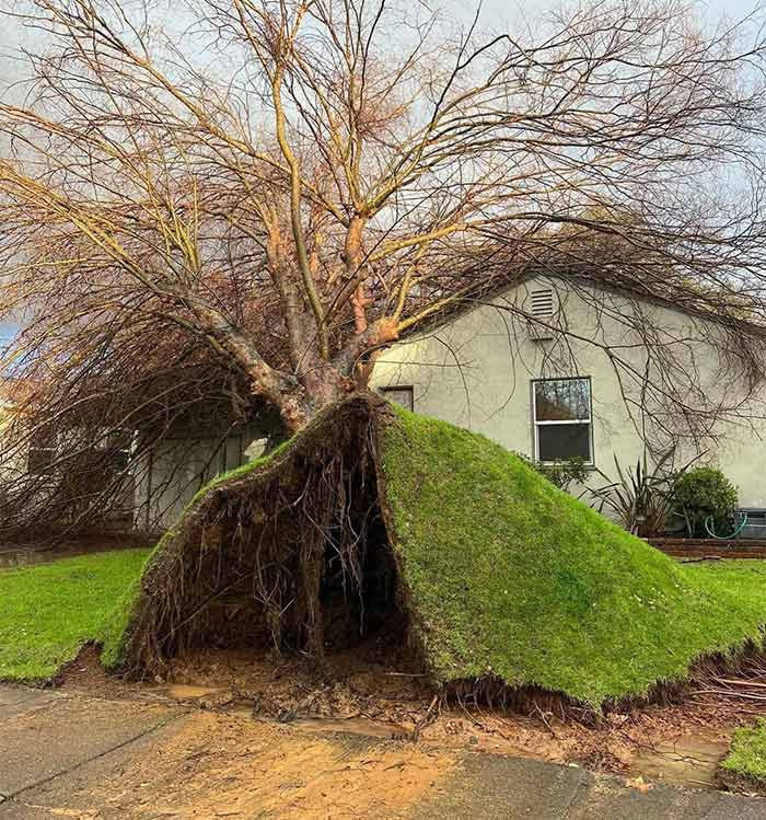 That's It! I'm Outta Here And I'm Taking My Damn Carpet With Me!