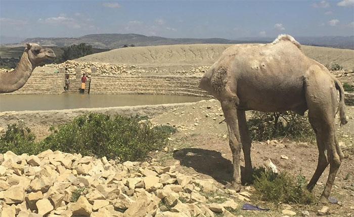 Somebody Didn’t Read The Assembly Instructions Right