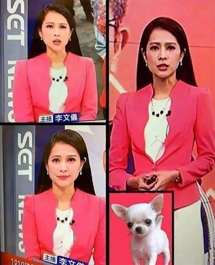 Accidental Surrealism