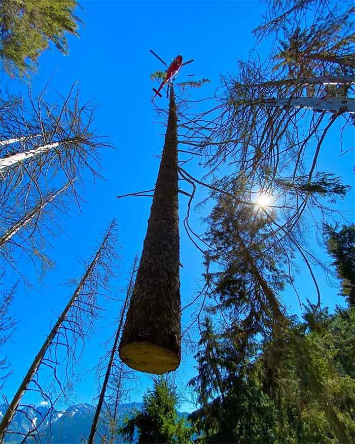 Carmen Sandiegos At It Again