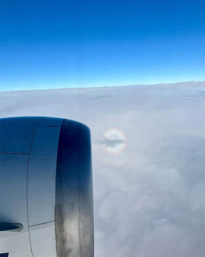 Accidental Surrealism