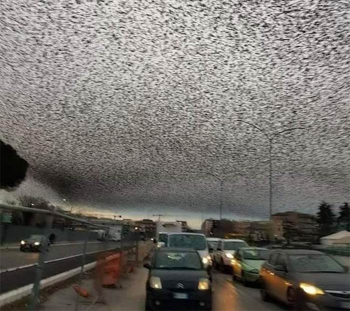 Static Sky! Simulation Error (Sterling Migration)