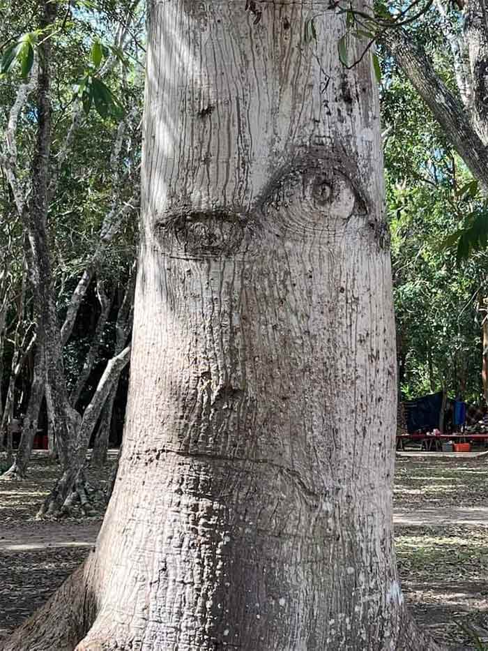 To Pass, You Must Answer Three Questions From The Knowledge Tree