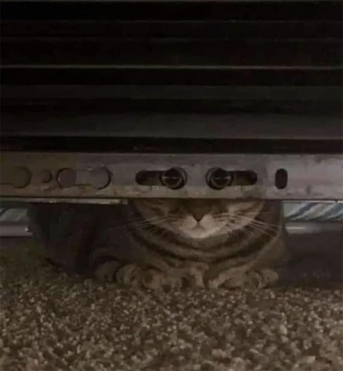 Accidental Surrealism