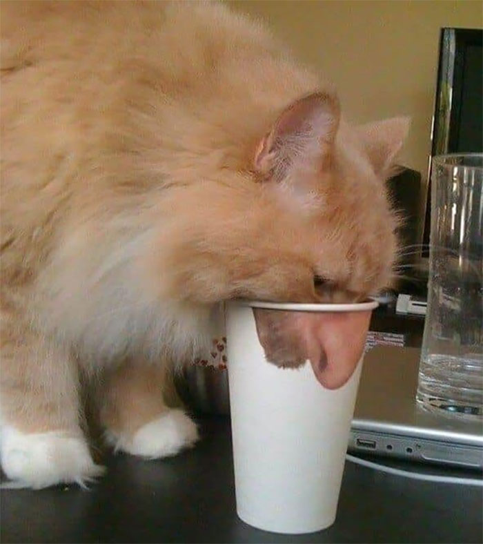 Accidental Surrealism