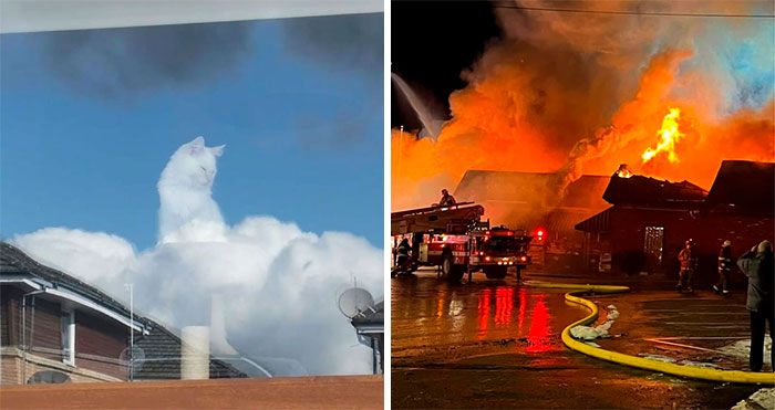 45 Times People Spotted “Accidental Surrealism” IRL And Just Had To Share (New Pics)