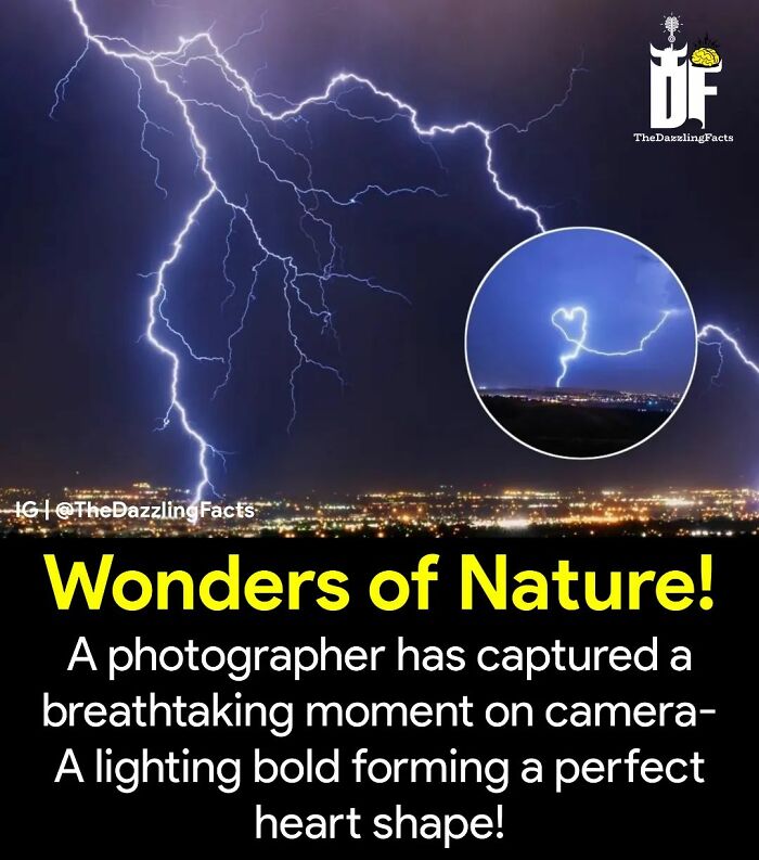 Interesting-Dazzling-Facts