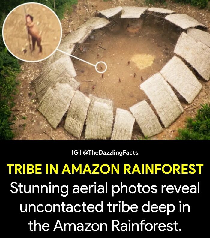 Interesting-Dazzling-Facts