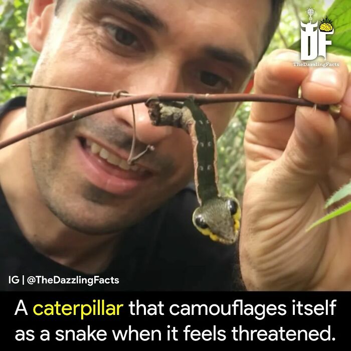 Interesting-Dazzling-Facts