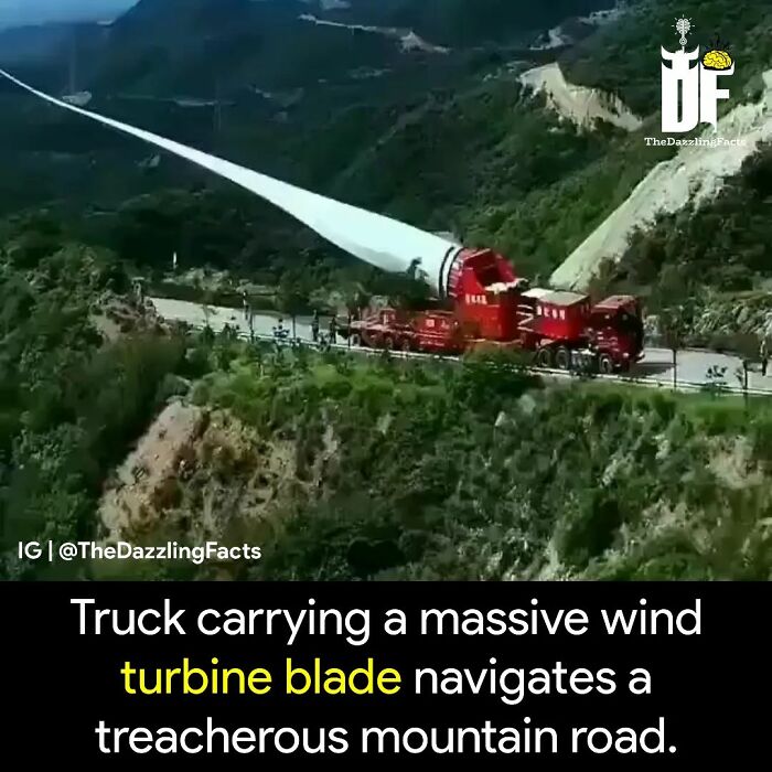 Interesting-Dazzling-Facts