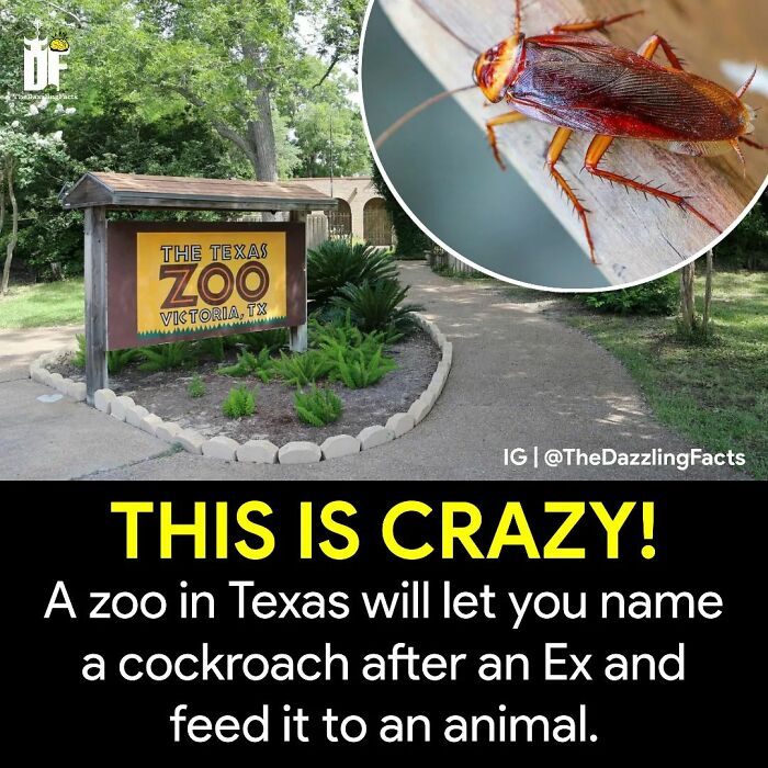 Interesting-Dazzling-Facts