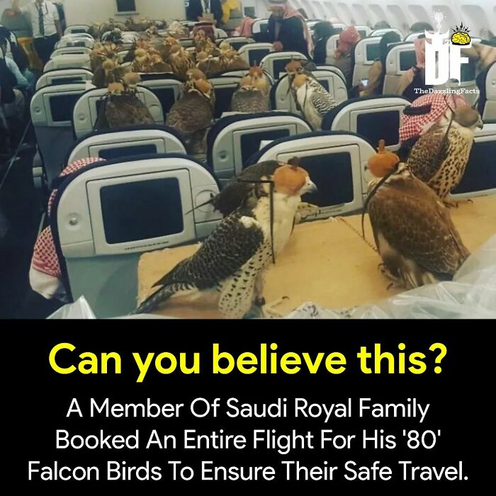 Interesting-Dazzling-Facts