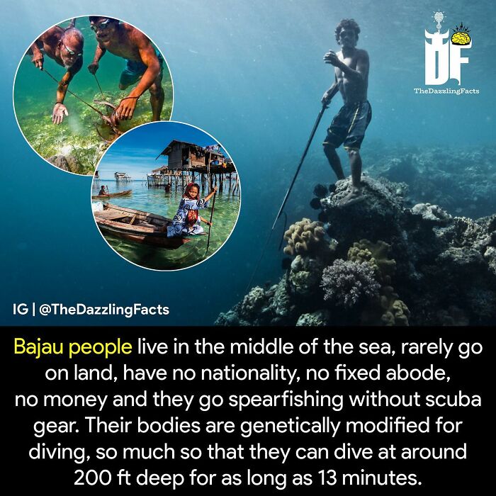 Interesting-Dazzling-Facts