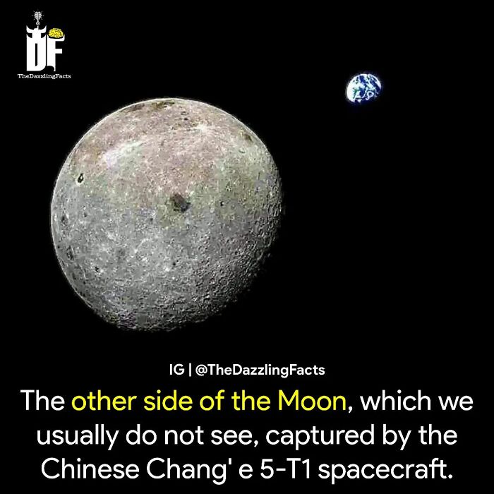 Interesting-Dazzling-Facts