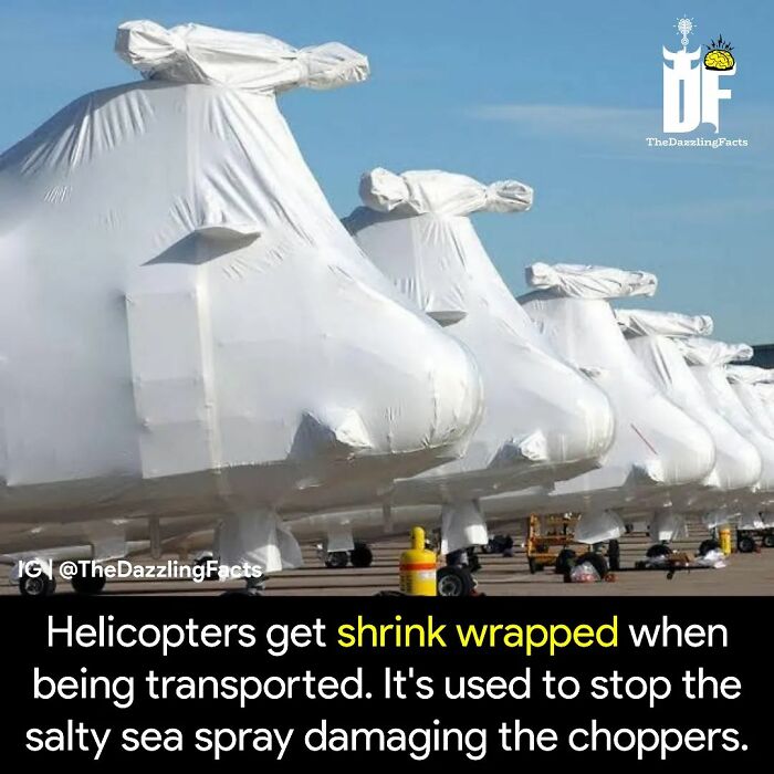 Interesting-Dazzling-Facts