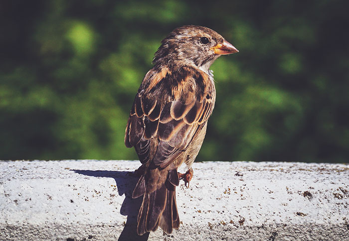 People Are Sharing Facts That Sound Fake But Are Totally True, Here Are 30 Of The Most Baffling Ones