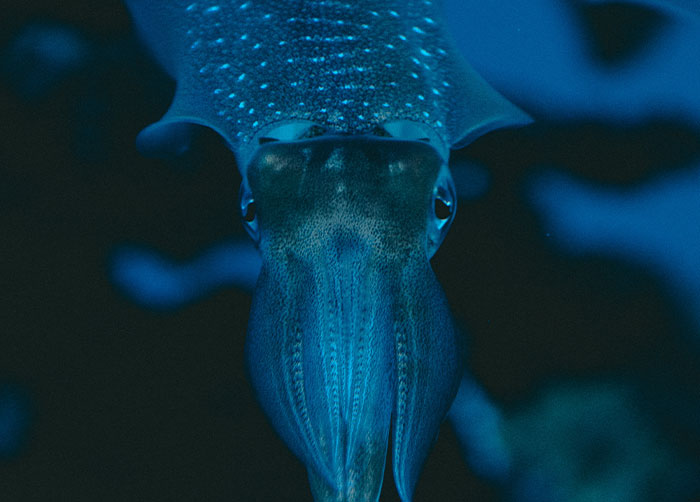 20 Datos totalmente reales que parecen mentira y que te sorprenderán