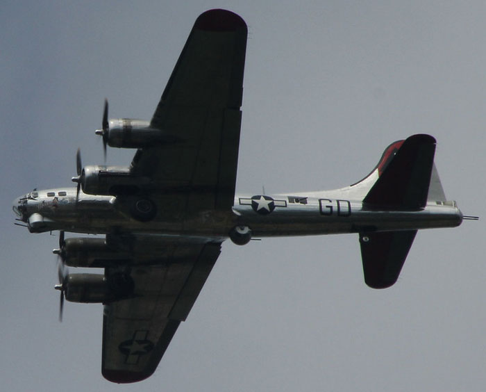 20 Datos totalmente reales que parecen mentira y que te sorprenderán